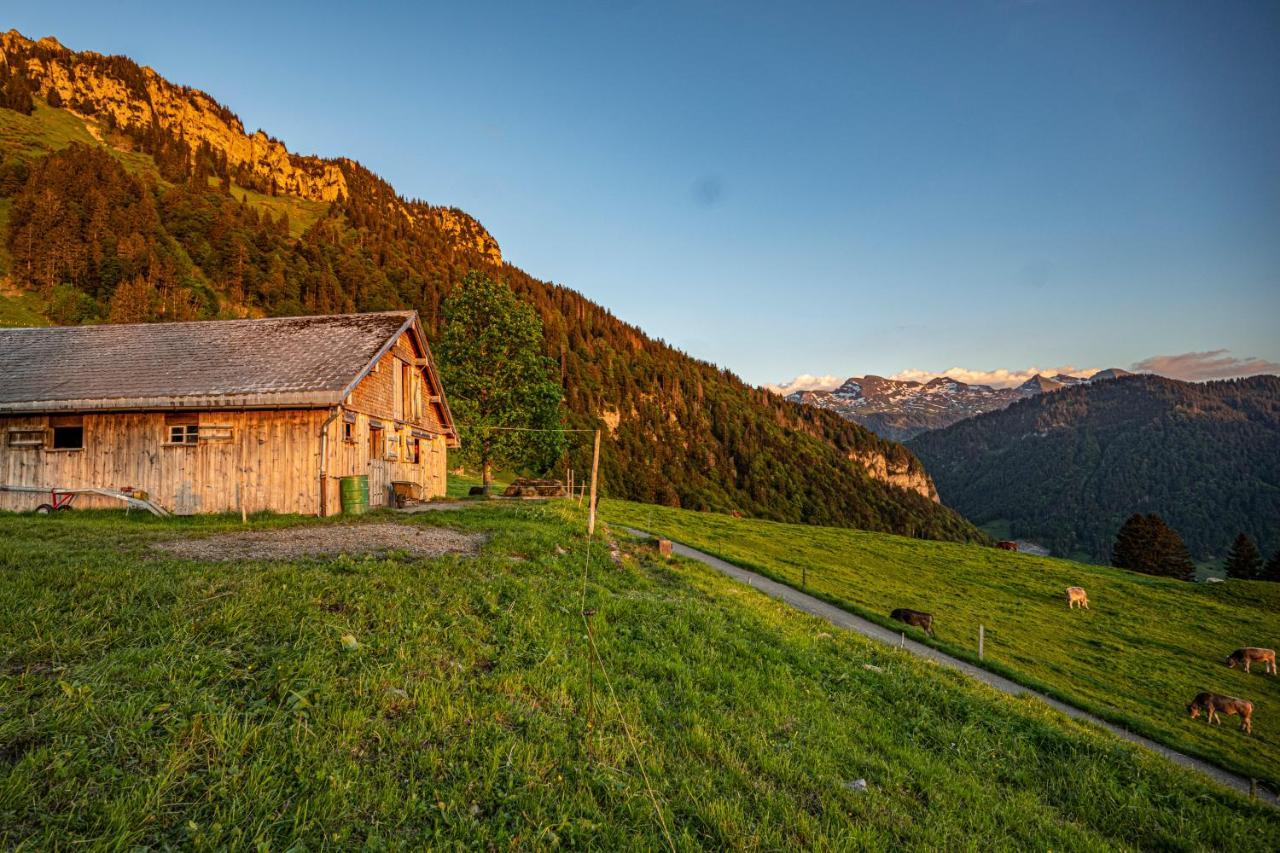 Wies Stein  Exterior photo