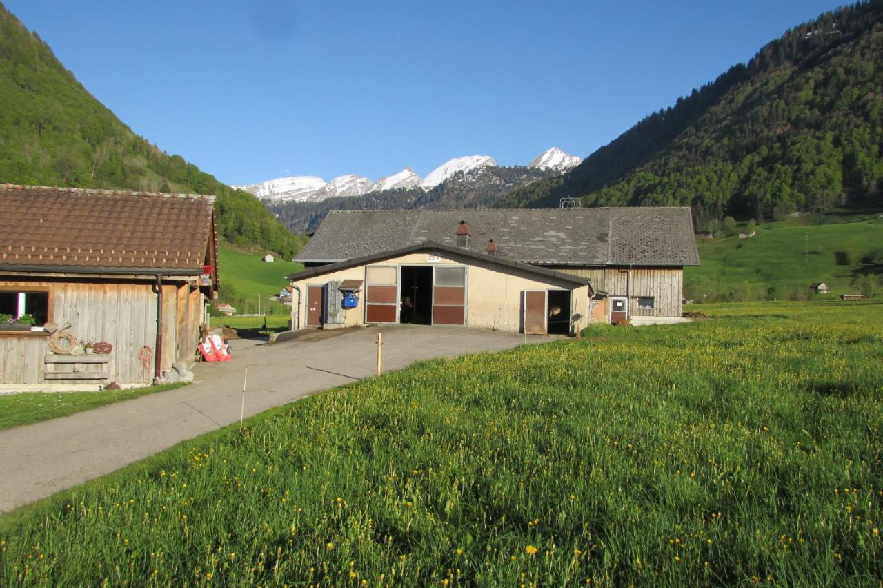 Wies Stein  Exterior photo